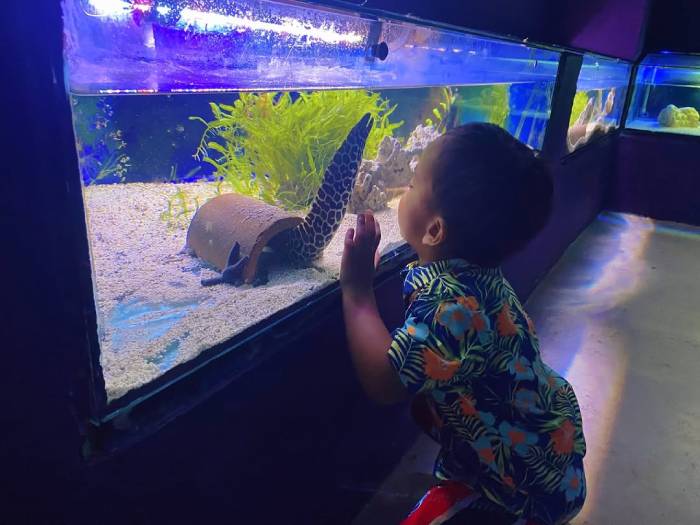 Du Lịch Langkawi Từ A Đến Z: Thiên Đường Nhiệt Đới Đáng Trải Nghiệm Nhất Malaysia