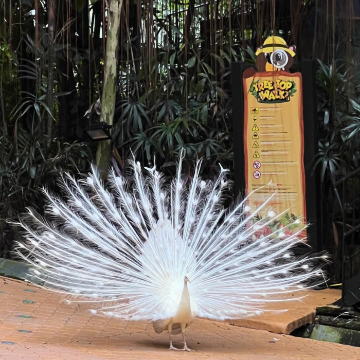 Công viên Sunway Lagoon