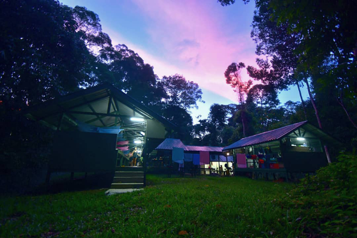 thung lũng Danum