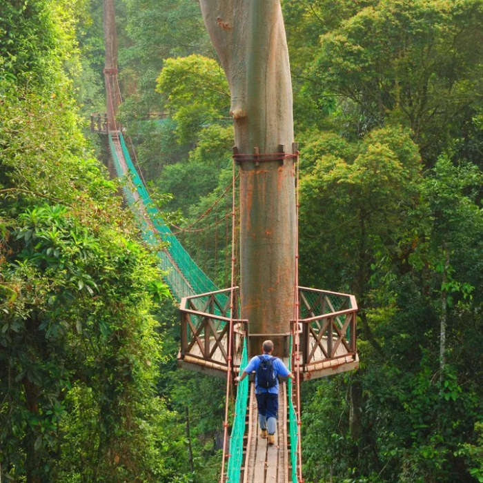 thung lũng Danum