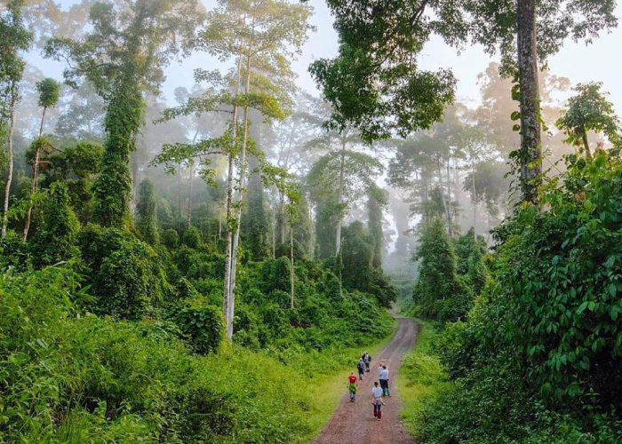 thung lũng Danum