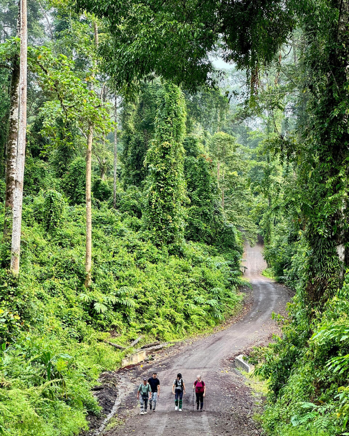 thung lũng Danum