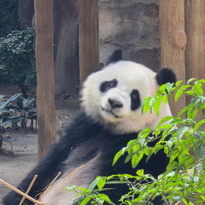 vườn thú Negara