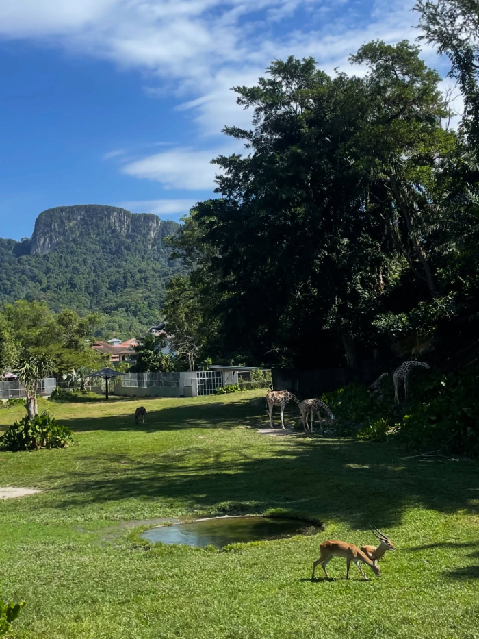 vườn thú Negara