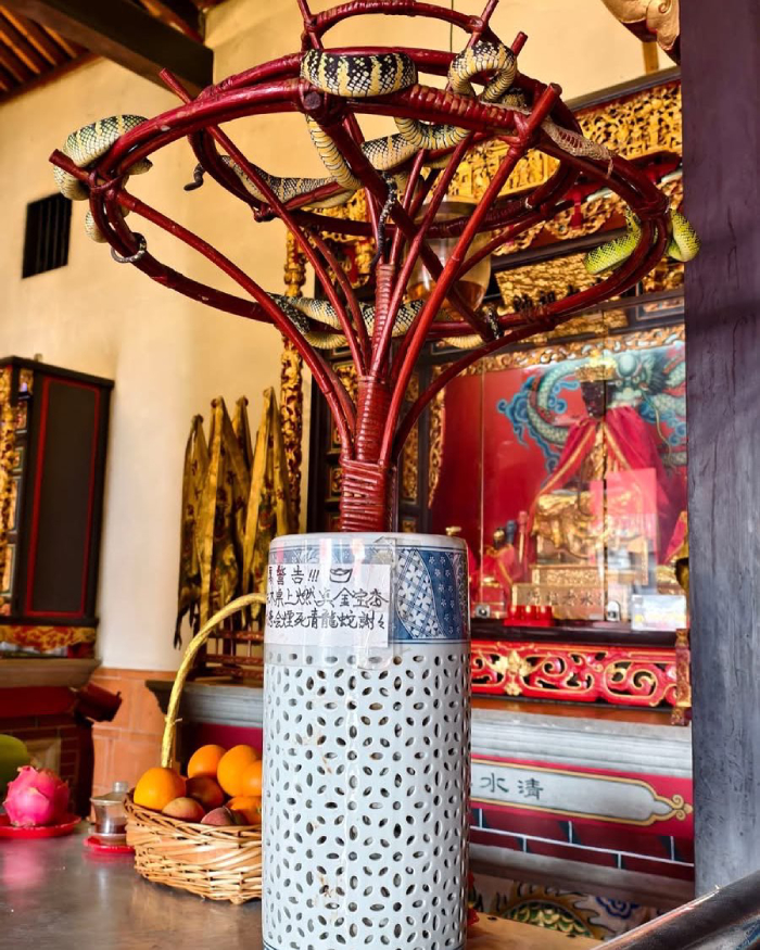 đền rắn penang